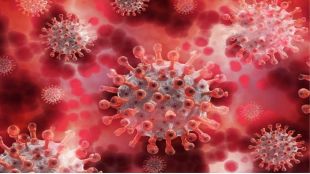 Coronavirus pandemic, China coronavirus pandemic, covid cases, Beijing, coronavirus pandemic, health news, covid news,