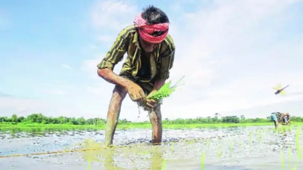 Gujarat winter sowing likely to cross record