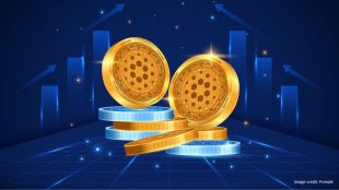 Reportedly, companies such as Circle, Paxos, Binance, MakerDAO, are known for issuance of cryptocurrencies which are pegged to the US Dollar value