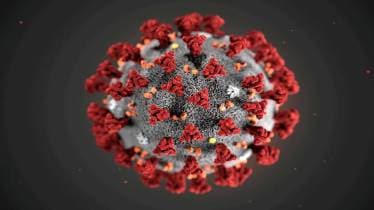 Covid, covid rules, state covid, coronavirus, covid spike