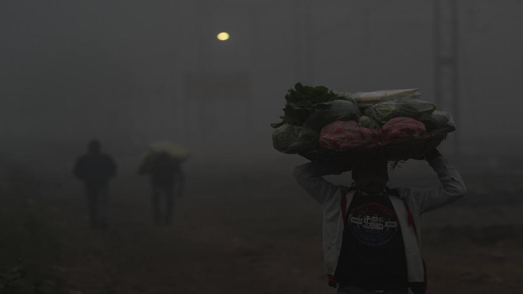 Delhi, cold wave delhi, delhi temperature
