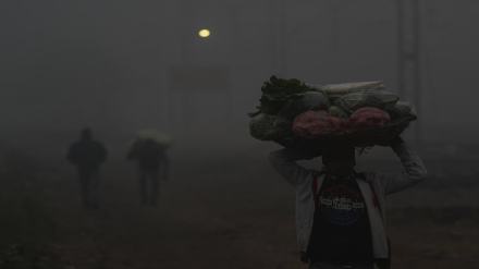 Delhi, cold wave delhi, delhi temperature