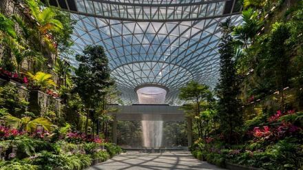 singapore airport, singapore, pune, airport, north america, usa, passenger traffic, Australia, India, Indonesia, Malaysia, Thailand