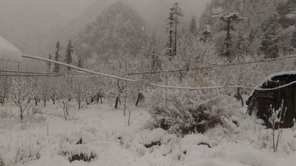 _Snowfall in higher reaches in Kashmir; minimum temp rises _Snowfall in higher reaches in Kashmir; minimum temp rises