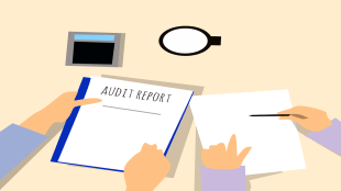 msme audit