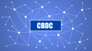 Will Digital Currency replace the physical rupee?