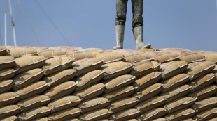 Dalmia, Dalmia Bharat, Jaypee, Jaiprakash Associates, Dalmia Cement, merger and acquisition, cement, power plant, industry news