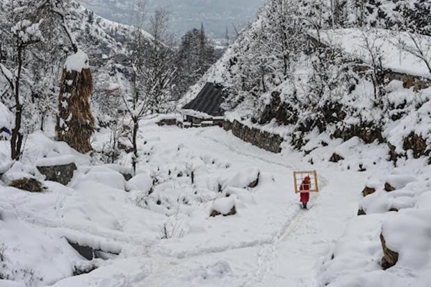 'Chillai Kalan', the coldest and harshest winter period in the Kashmir valley begins today. During this 40-day period, the Himalayan valley remains under the grip of intense cold wave conditions. This is also the time when Kashmir receives the highest snowfall. The valley is enveloped in a blanket of snow, and and the partially frozen pine trees add to the surreal beauty of the place. (Image: PTI)