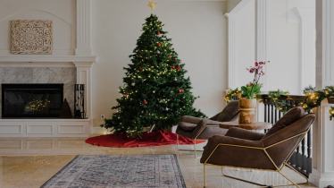Christmas, Christmas decoration, Christmas decor, Christmas decor ideas, how to decorate house on Christmas, Christmas guide, Christmas decor guide, Christmas sex guide