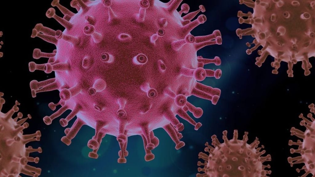 covid, covid-19, corona virus