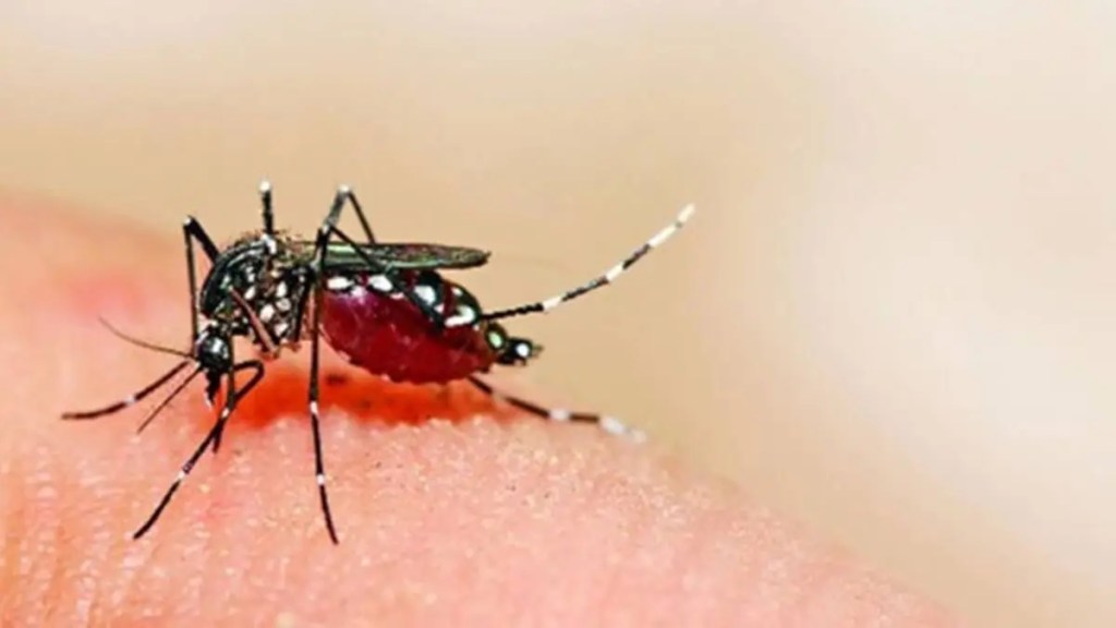 world malaria day 2023, malaria, vector-borne diseases, healthcare news,