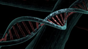 Rare Disease Day 2023: 'Need to increase access to orphan drugs in India'