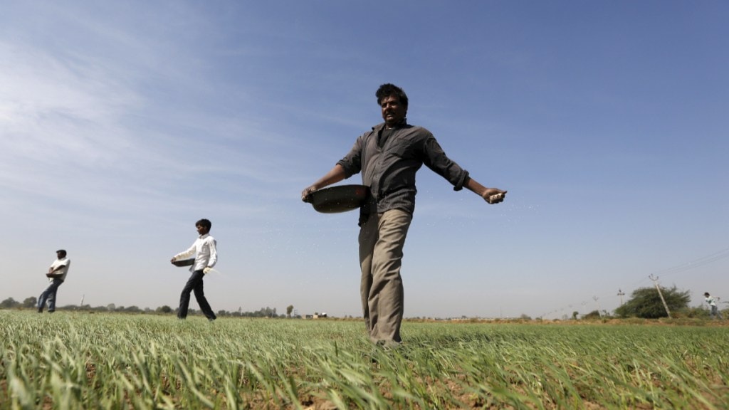 Farming, farming in india, agriculture, agriculture news, agriculture in india, modi govt, nano urea capacity, fertiliser news, fertilisers, fertilizers