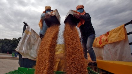 Farming, natural faming, farming in india, agriculture, agriculture news, agriculture in india, modi govt