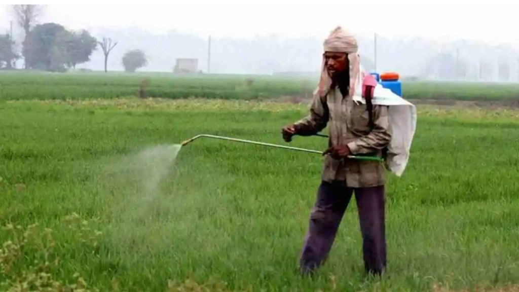 fertilizer, fertilizer subsidy