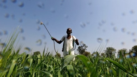 Green hydrogen, Green hydrogen news, Green hydrogen latest news, Nitin Gadkari, fertiliser industry