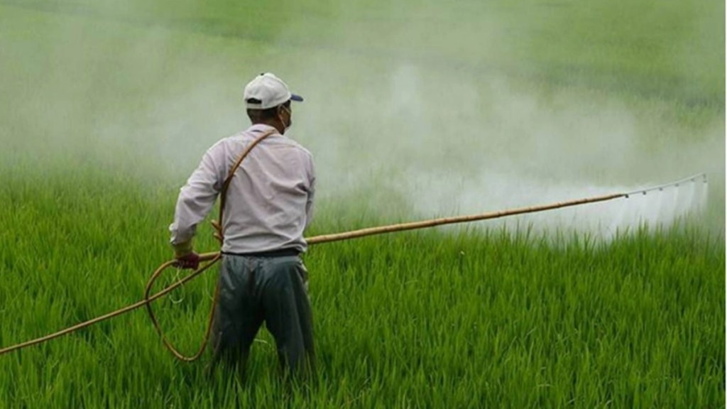 economy, fertilizer