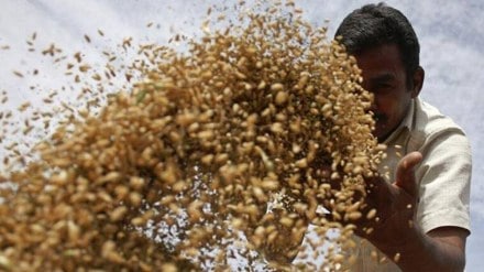 National Food Security Act, economy National Food Security Act, economy