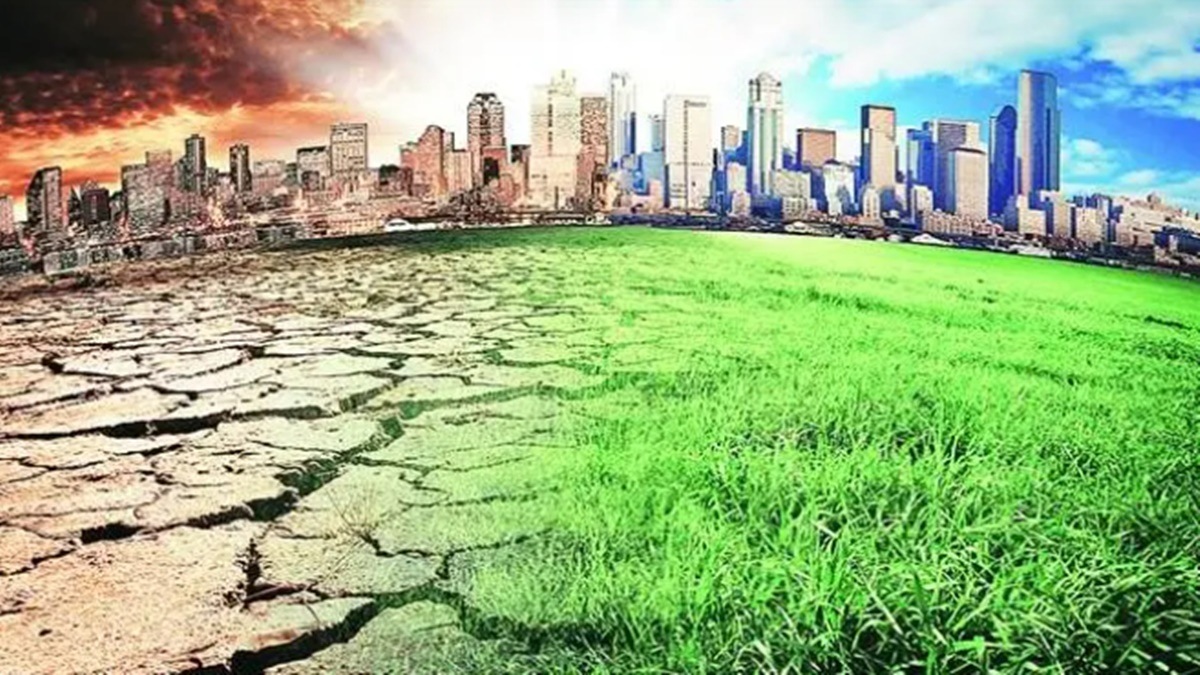 green laws . environment