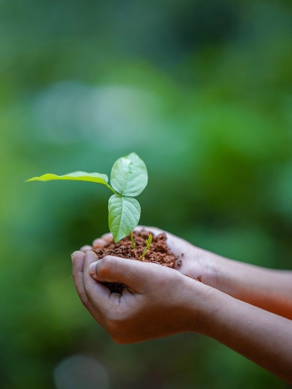 investing tips for 2023