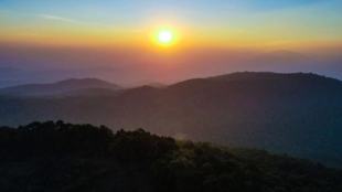 The road to Netarhat runs inside a deep jungle of pine, bamboo, mahua, palash and saal.