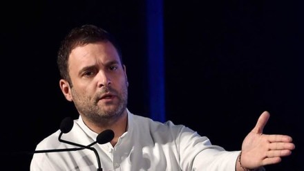 rahul gandhi, congress