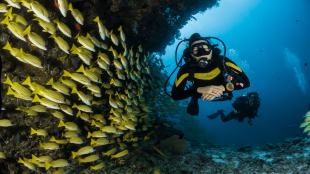 scuba diving, scuba diving sites, best scuba diving sites, scuba diving locations, Japan scuba diving, Thailand scuba diving, world beautiful places