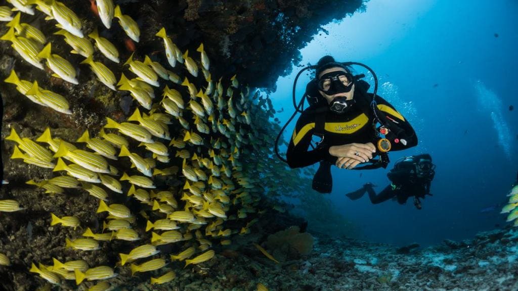 scuba diving, scuba diving sites, best scuba diving sites, scuba diving locations, Japan scuba diving, Thailand scuba diving, world beautiful places