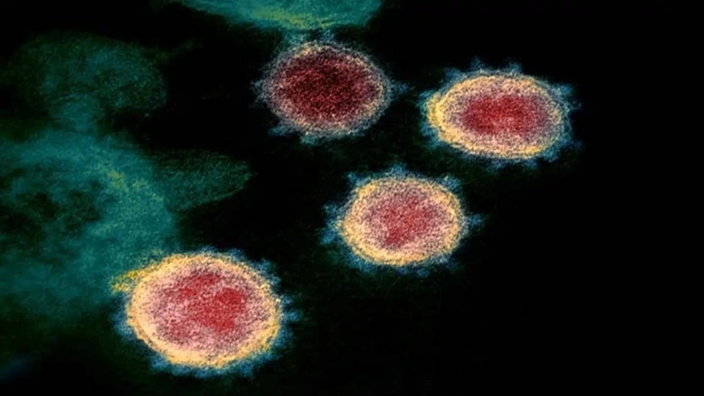 Zombie, Virus, Zombie Virus, Scientists, Research, Covid, Pandemic, Health