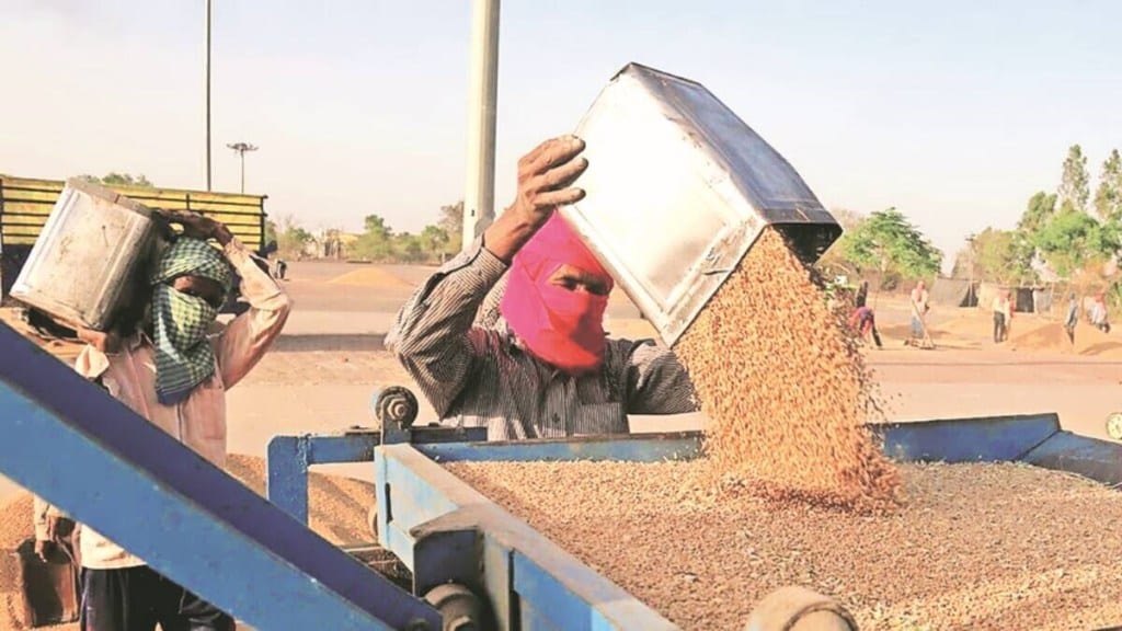 wheat exports, economy