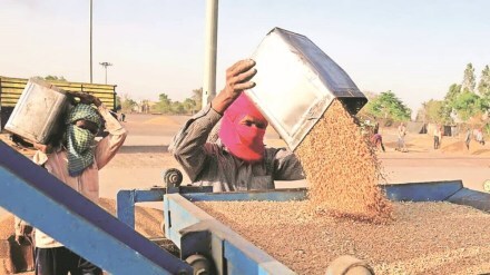 wheat exports, economy