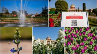 Amrit Udyan, Amrit Udyan booking, Amrit Udyan delhi, Amrit Udyan rashtrapati bhavan, Amrit Udyan meaning, Amrit Udyan online booking, Amrit Udyan ticket price, Amrit Udyan delhi tickets, Amrit Udyan opening date, Amrit Udyan photos, Amrit Udyan photo, Amrit Udyan images, Amrit Udyan pics,