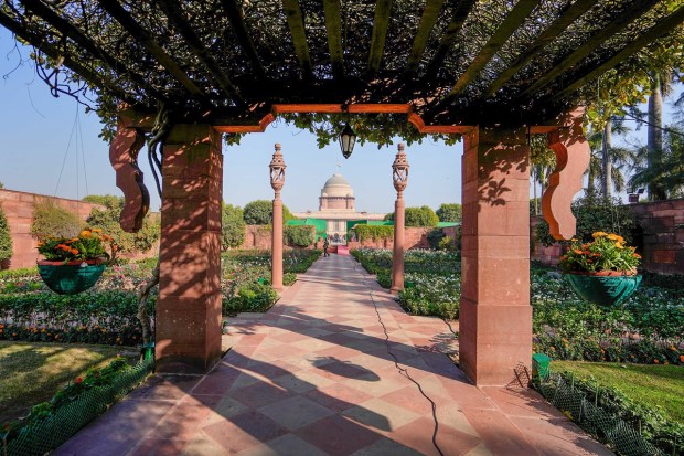 Flowers bloom at 'Amrit Udyan' on the premises of the Rashtrapati Bhavan. (PTI photo)