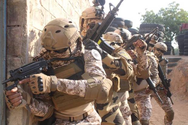 The soldiers would also undertake joint planning and drills for Special Forces operations in a mechanised warfare setting. (Image courtesy: PIB)