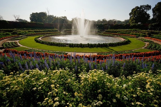 The grass that covers the garden is the doob grass, which was originally brought from Calcutta (now Kolkata) when the Mughal Gardens was being planted. (PTI photo)