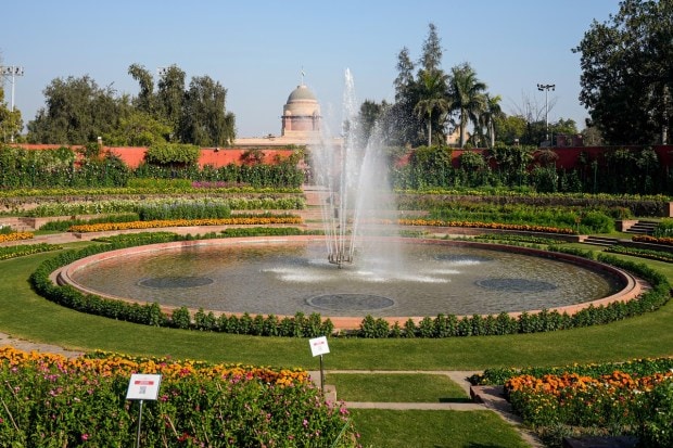 Flowers bloom around a fountain at 'Amrit Udyan'. (PTI photo)