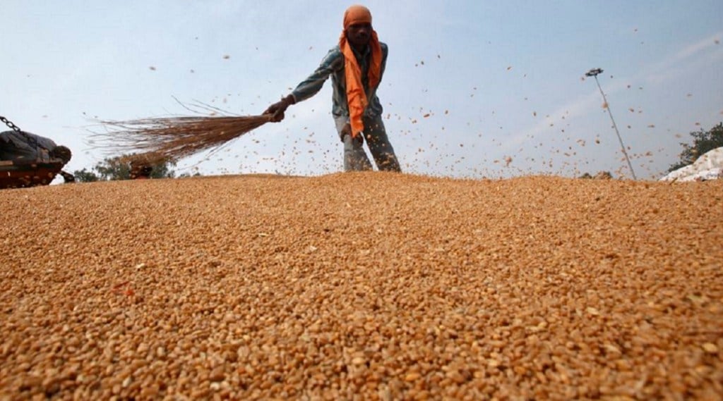 wheat prices, open market, open market prices, procurement, consumers, flour millers, FCI, retail price, wholesale price, atta prices, bulk buyers, e-auction
