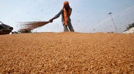 wheat prices, open market, open market prices, procurement, consumers, flour millers, FCI, retail price, wholesale price, atta prices, bulk buyers, e-auction