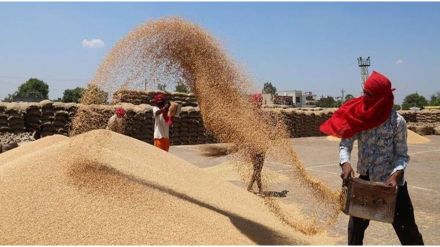 FCI to award contracts for 2.5 MT of silos via PPP mode this week