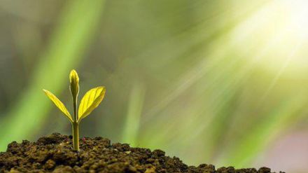 In other words, a 7-percentage-points fall in the employment rate in a country with the largest youth population in the world. If you exclude unpaid family labour, there is no increase in the employment rate in India. (File/Pixabay) In other words, a 7-percentage-points fall in the employment rate in a country with the largest youth population in the world. If you exclude unpaid family labour, there is no increase in the employment rate in India. (File/Pixabay)