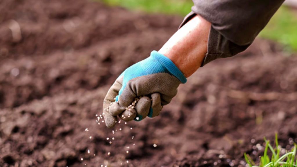 Food & fertiliser subsidies to cross a record Rs 5.21 trn in FY23