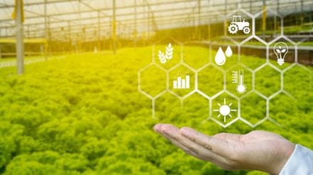 Govt, hike, PM-KISAN, tax, agritech startups, Govt, hike, PM-KISAN, tax, agritech startups,