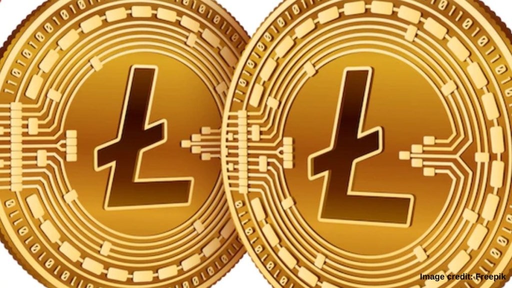 Reportedly, exchanges such as Coinbase, Binance, Kraken, permit LTC-based investment options for users Reportedly, exchanges such as Coinbase, Binance, Kraken, permit LTC-based investment options for users