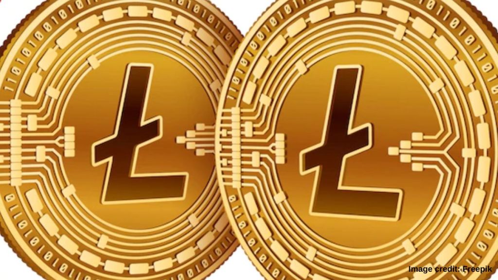 Reportedly, exchanges such as Coinbase, Binance, Kraken, permit LTC-based investment options for users
