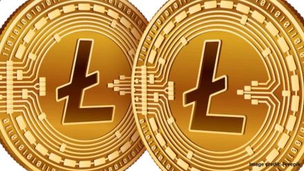 Reportedly, exchanges such as Coinbase, Binance, Kraken, permit LTC-based investment options for users