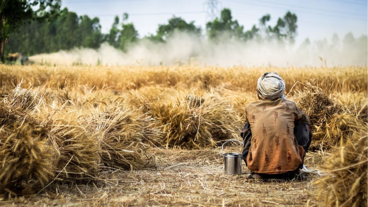 World Day of Social Justice: Climate and Gender justice in Beed, a dichotomy of distress and resilience World Day of Social Justice: Climate and Gender justice in Beed, a dichotomy of distress and resilience