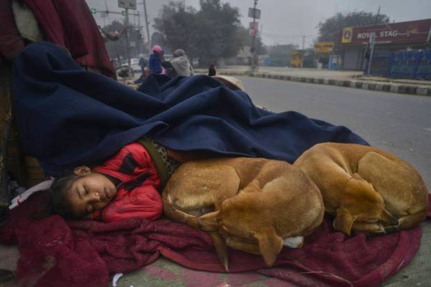 Two dogs sleep with a kid, wrapped in a blanket on a pavement on a cold winter day, in Gurugram. (PTI Photo)