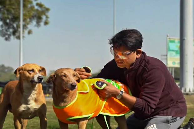 Noida: A volunteer from a Noida-based NGO puts a coat on a stray dog amid bone-chilling winter. (PTI Photo)