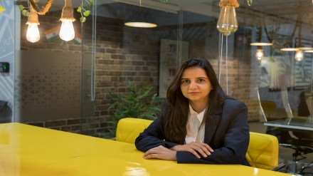 What pet dreams are made of! What pet dreams are made of!