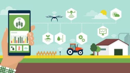 Post-subsidy path to agri export growth Post-subsidy path to agri export growth